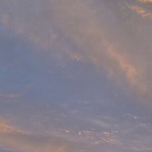 Meet your Posher, Sienna